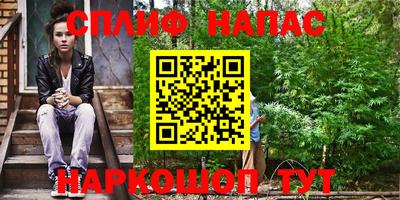 гидра Нарткала