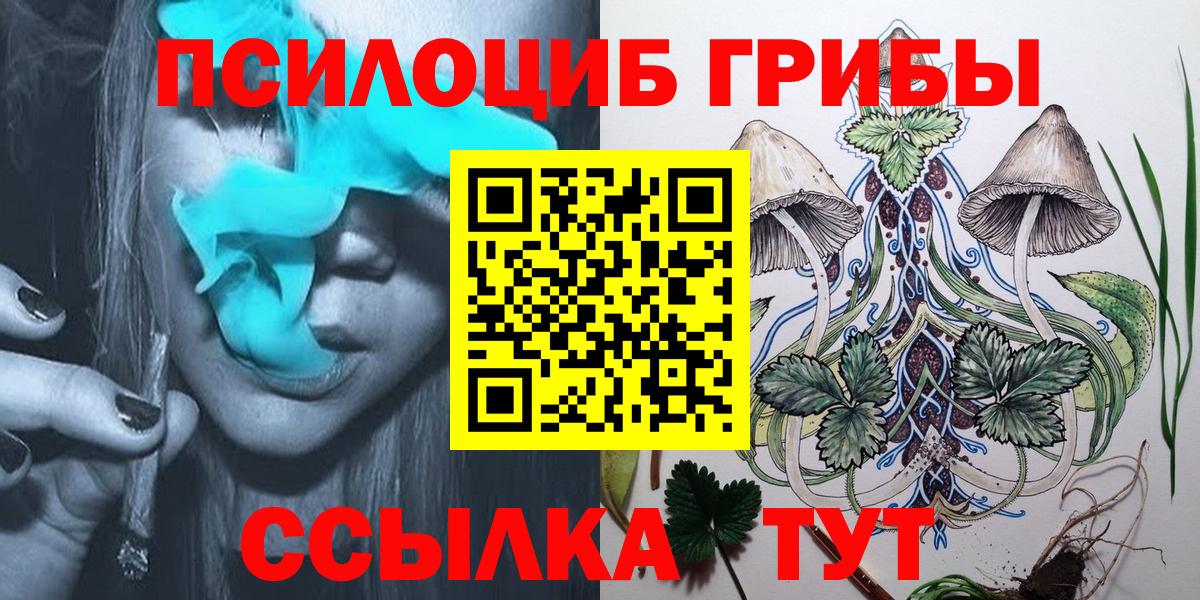 Псилоцибиновые грибы прущие грибы  Галлюциногенные грибы Magic Shrooms  Владимир  Вход с VPN 